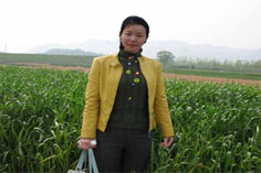 信息系統(tǒng)項(xiàng)目管理師優(yōu)秀學(xué)員